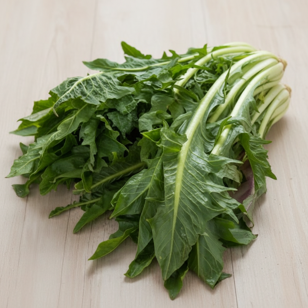 Chicory Catalogna (Puntarelle) Seeds – Hardy GMO-Free Leafy Vegetable Seeds