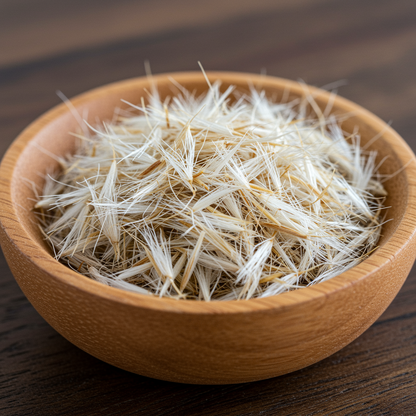 White Fountain Grass Seeds – Pennisetum villosum Ornamental Grass