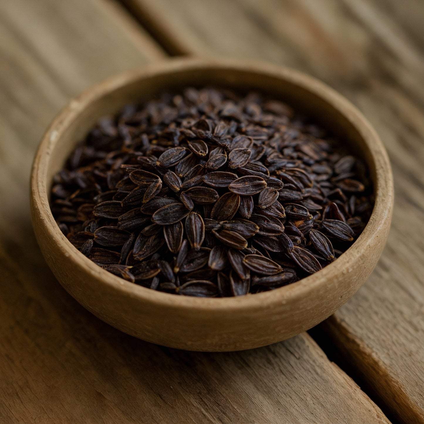 Blue Vervain Seeds – Verbena hastata