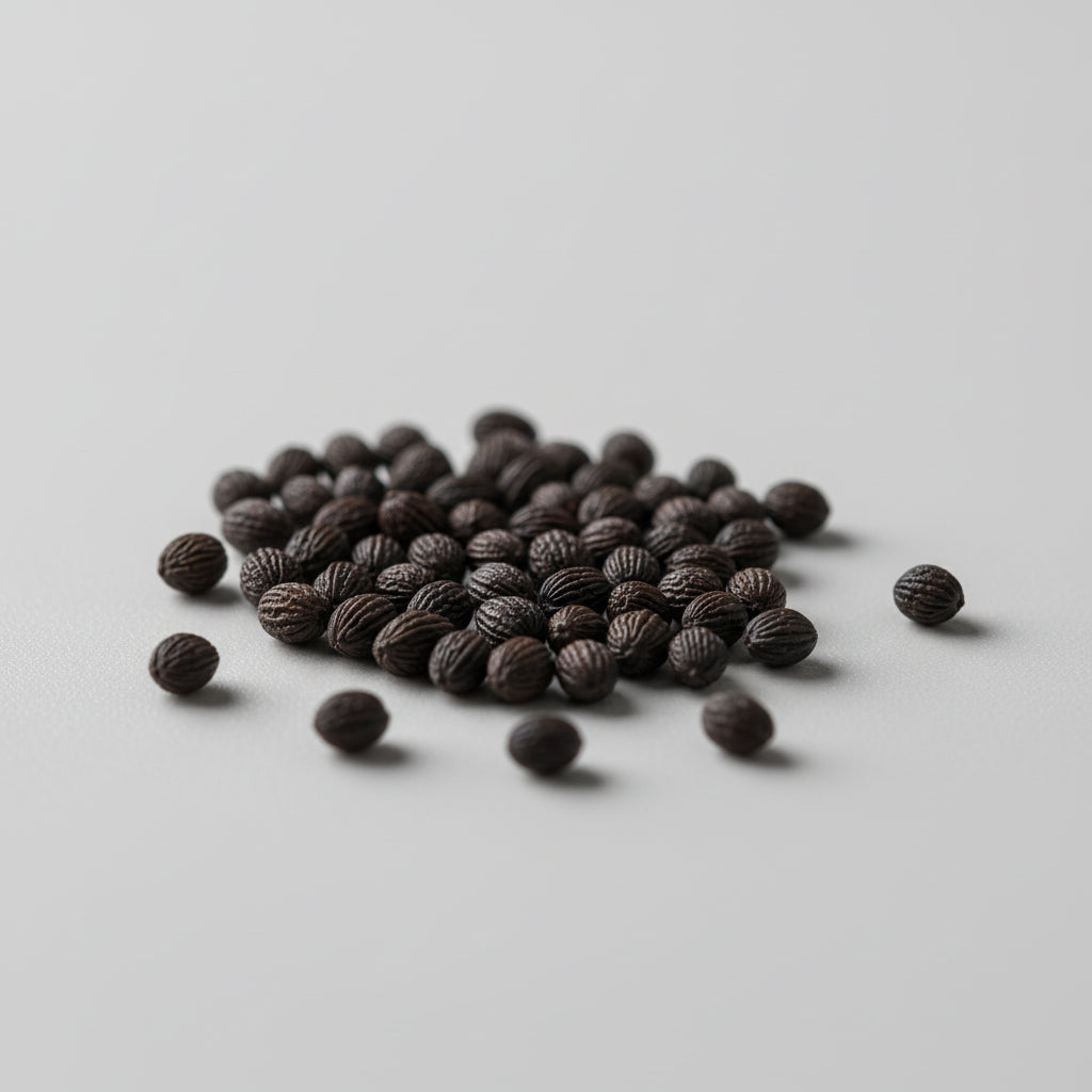 Skeleton Flower Seeds – Diphylleia grayi (Transparent “Glass-Petal” Shade Flower)