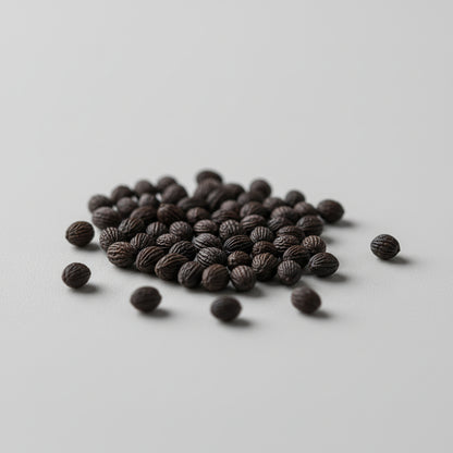 Skeleton Flower Seeds – Diphylleia grayi (Transparent “Glass-Petal” Shade Flower)