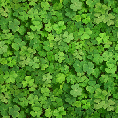 Four Leaf Clover Seeds – Perennial GMO-Free Ground Cover for Beds, Borders & Containers