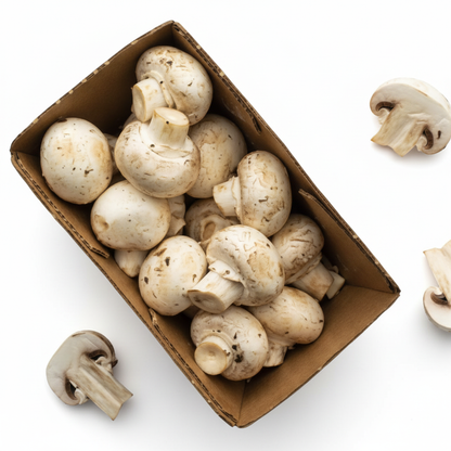 White Button Mushroom Seeds / Spawn – Grow Fresh, Versatile Mushrooms at Home