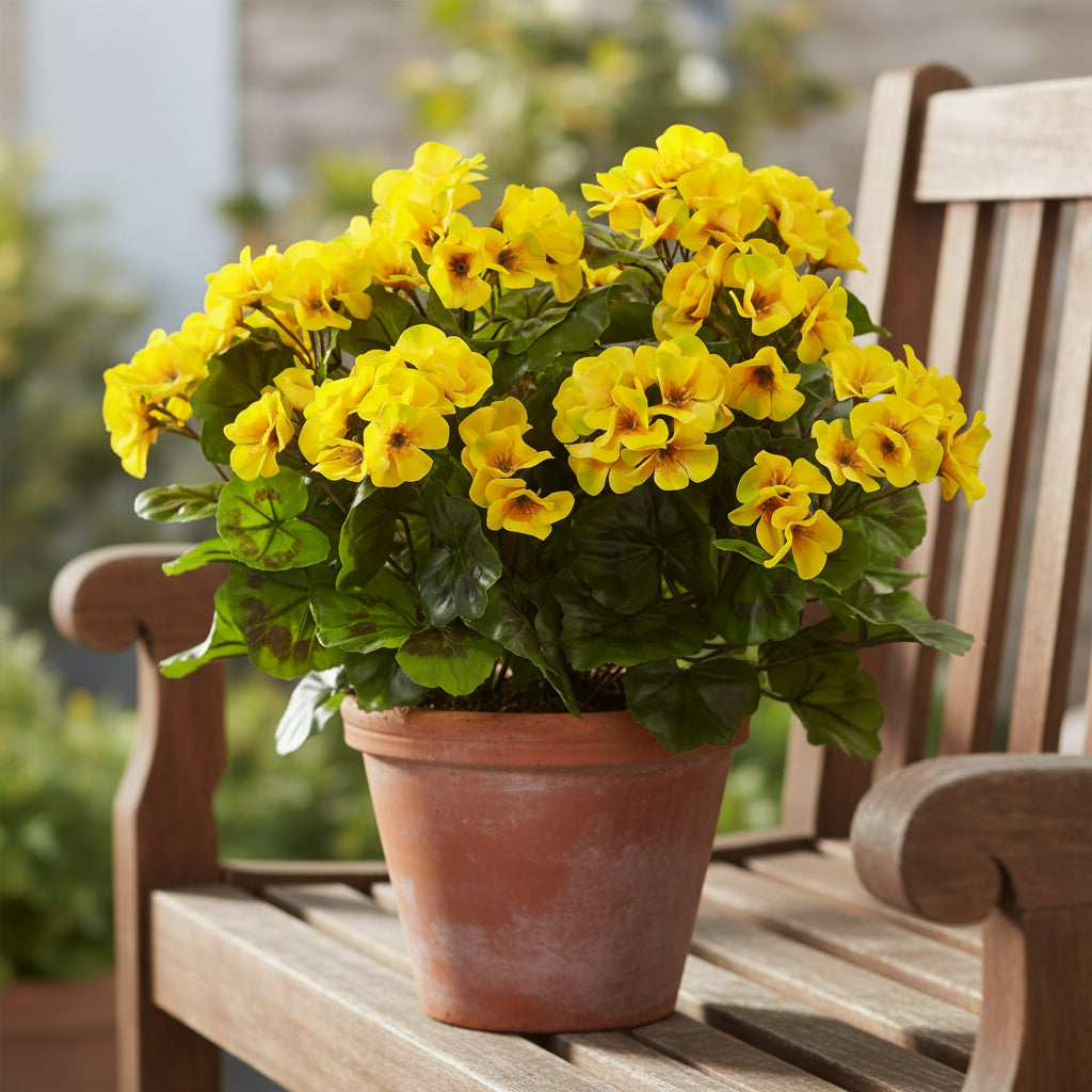 yellow-geranium-flower-seeds-rare-golden-blooms