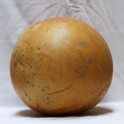 Cannonball Gourd Seeds – Ornamental Edible Climbing Vegetable for Garden