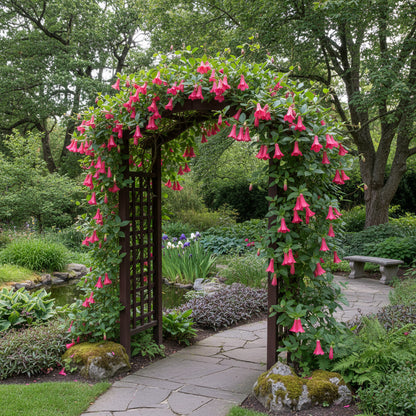 Lapageria Rosea Flower Seeds – Exotic Chilean Bell Vine for Elegant Gardens