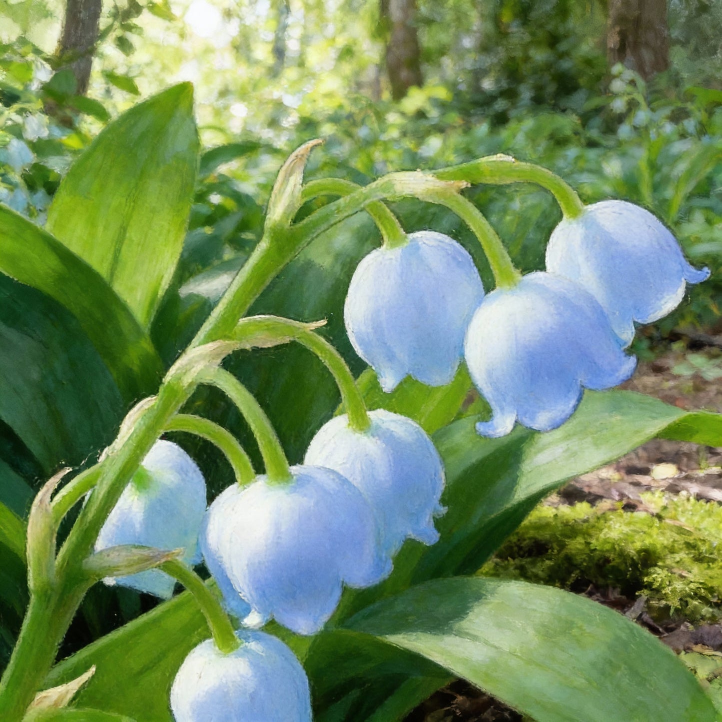 Blue Lily of the Valley Flower Seeds – Rare Elegant Perennial Blooms