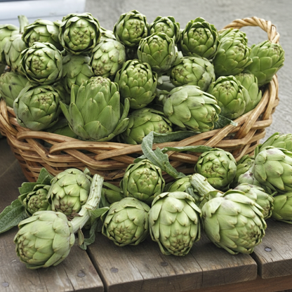 Artichoke Italian Green Globe Seeds – Gourmet Quality & Rich Flavor for Your Garden