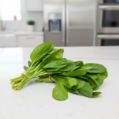 Avon Spinach Seeds – High-Yield, Nutrient-Rich Leafy Greens for Home Gardens
