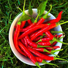 Kashmiri Mirchi Chili Seeds – Organic Seeds for Planting & Gardening
